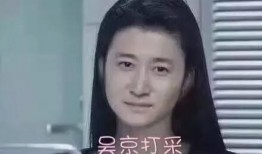 吴京妻子爆料视频大全,揭秘明星夫妻的甜蜜与挑战