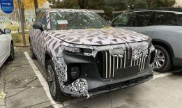 红旗最新爆料,揭秘神秘项目，行业变革即将到来！”